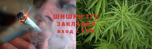 молекула духа Медногорск