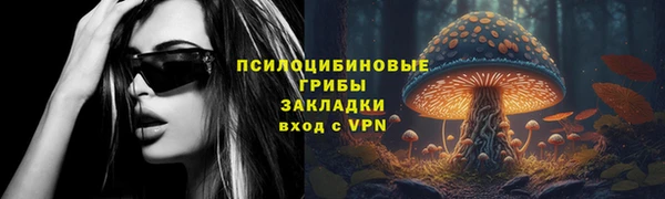 молекула духа Медногорск
