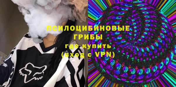 молекула духа Медногорск