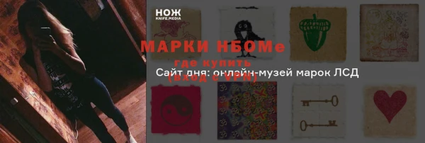 молекула духа Медногорск