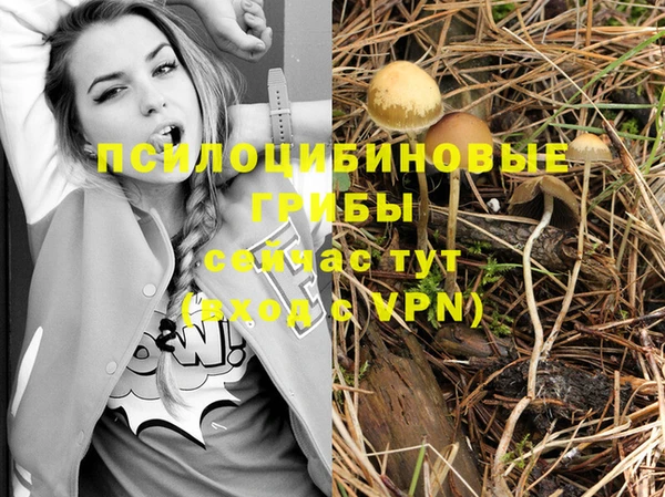 MDMA Медвежьегорск