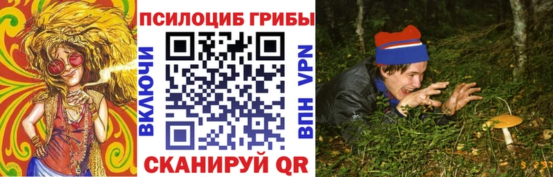 Псилоцибиновые грибы прущие грибы блэк спрут tor Электросталь