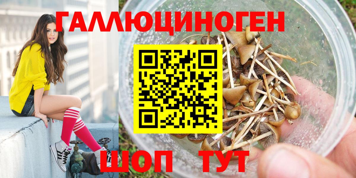 Псилоцибиновые грибы GOLDEN TEACHER  Галлюциногенные грибы мицелий  Электросталь  Вход с VPN 